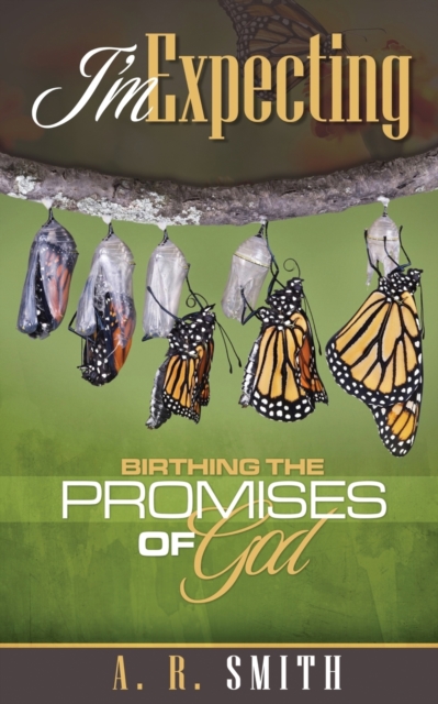 I'm Expecting : Birthing The Promises of God, Paperback / softback Book