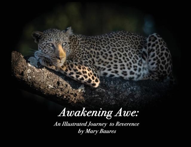 Awakening Awe : An Illustrated Journey to Reverence, Paperback / softback Book