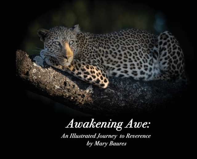 Awakening Awe : An Illustrated Journey to Reverence, Hardback Book