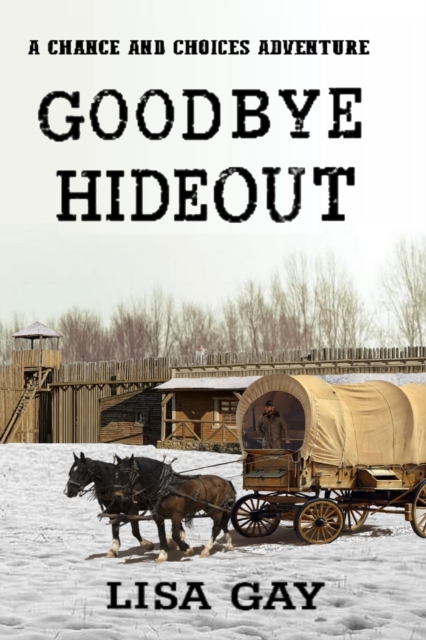 Goodbye Hideout : Large Print, Paperback / softback Book