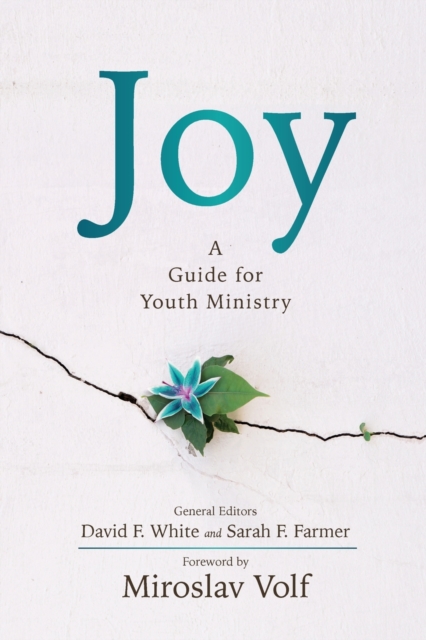 Joy : A Guide for Youth Ministry, Paperback / softback Book