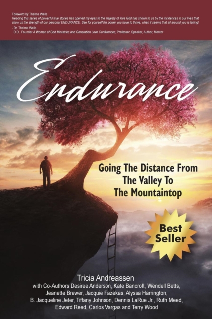 Endurance : Going The Distance From The Valley To The Mountaintop, Paperback / softback Book
