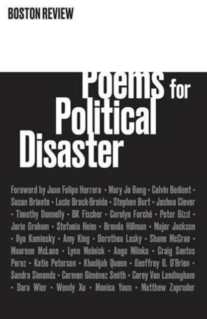 Poems for Political Disaster, Paperback / softback Book
