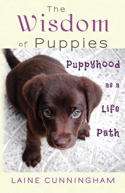 The Wisdom of Puppies : Puppyhood as a Life Path, Paperback / softback Book