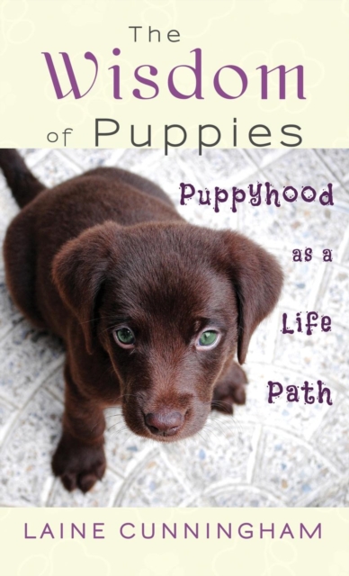 The Wisdom of Puppies : Puppyhood as a Life Path, Hardback Book