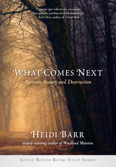 What Comes Next, Paperback / softback Book