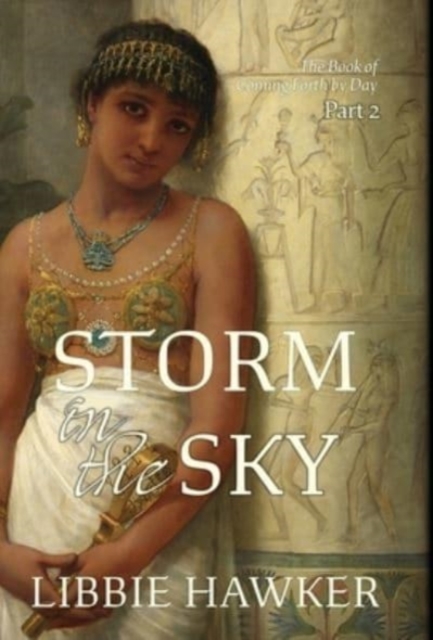 Storm in the Sky, Hardback Book