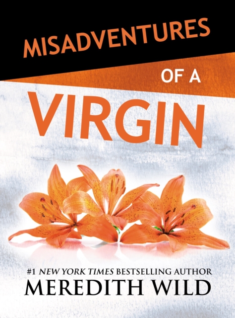 Misadventures of a Virgin, EPUB eBook