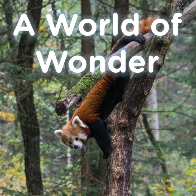 A World of Wonder, Paperback / softback Book