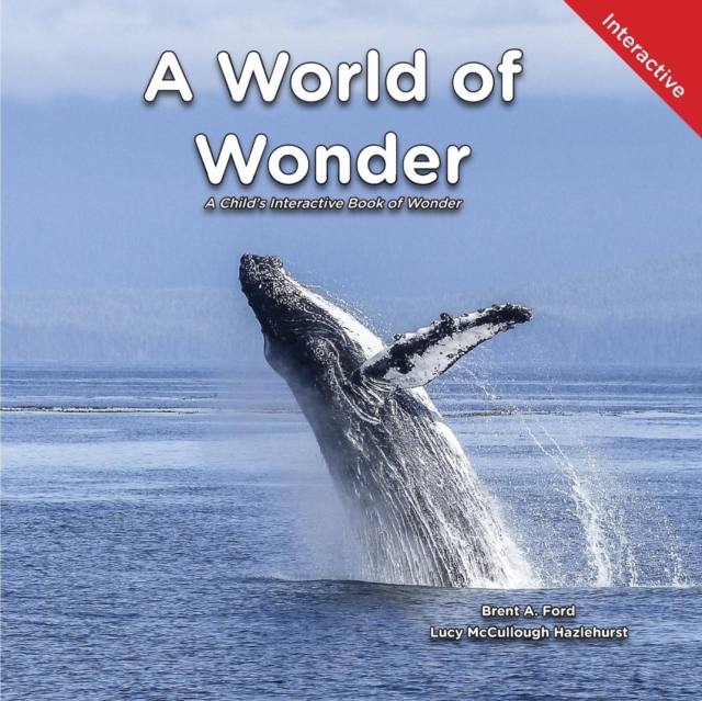 A World of Wonder : A Child's Interactive Book of Wonder, Paperback / softback Book
