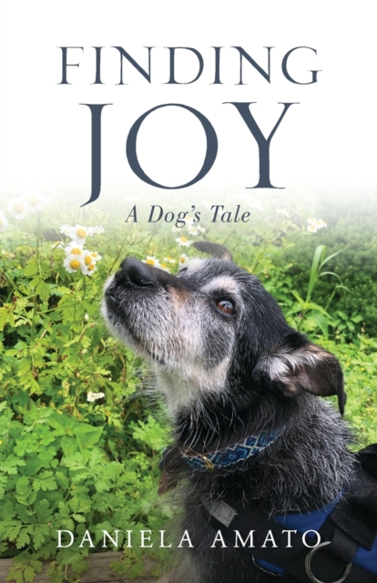 Finding Joy : A Dog's Tale, Paperback / softback Book