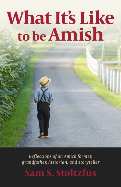 What It's Like to Be Amish, Paperback / softback Book