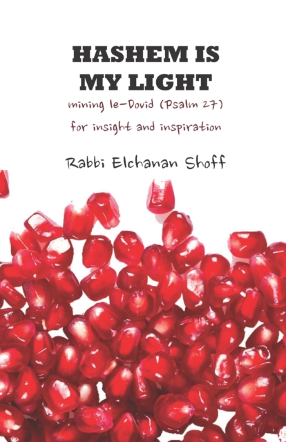 Hashem Is My Light : Mining le-Dovid (Psalm 27) for Insight and Inspiration, Paperback / softback Book