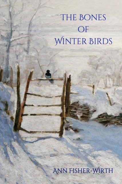 The Bones of Winter Birds, Paperback / softback Book
