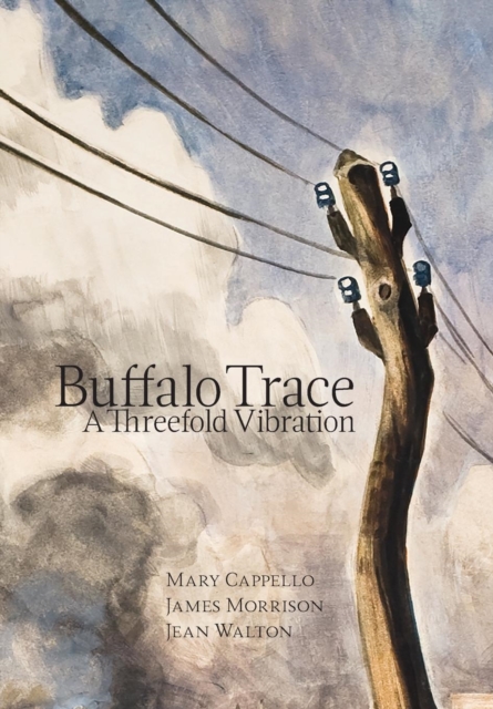 Buffalo Trace : A Threefold Vibration, Hardback Book