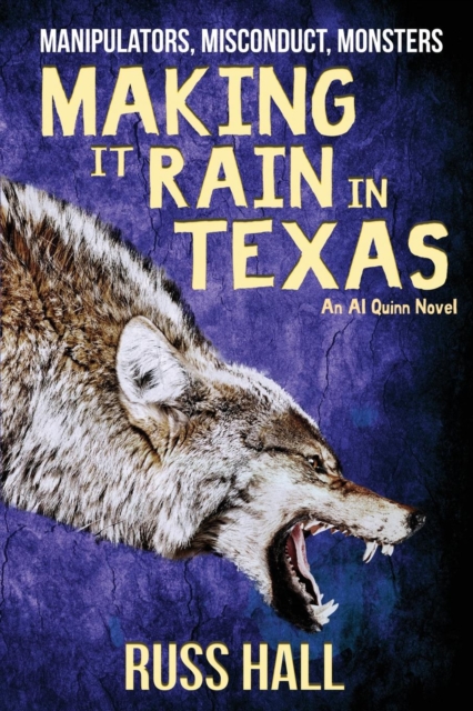 Making It Rain in Texas, Paperback / softback Book