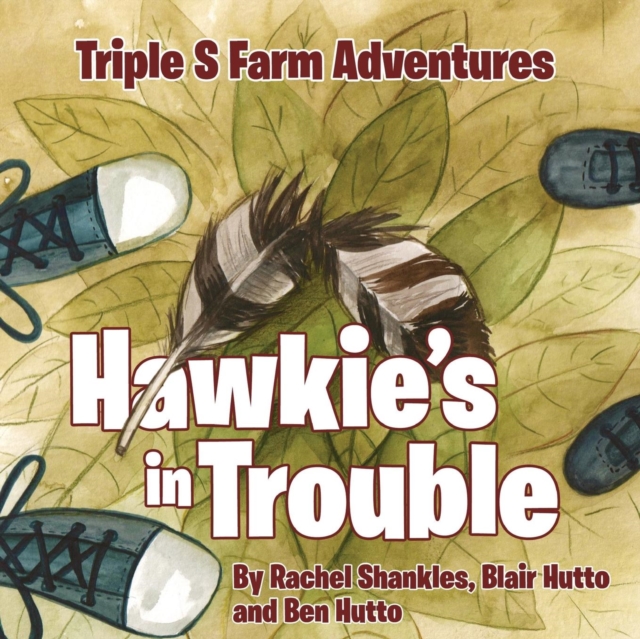 Triple S Farm Adventures : Hawkie's in Trouble, Paperback / softback Book