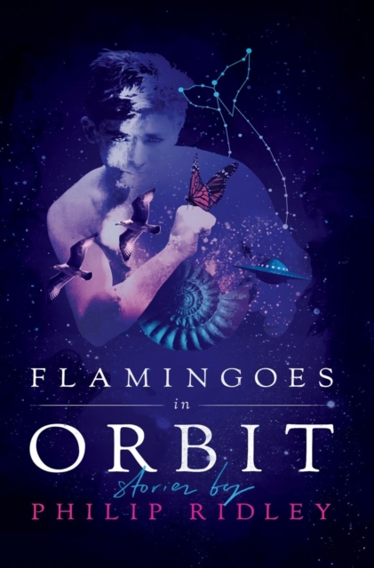 Flamingoes in Orbit, Hardback Book