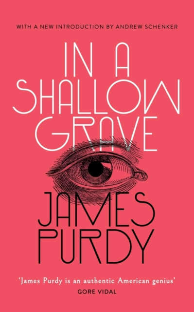 In a Shallow Grave (Valancourt 20th Century Classics), Paperback / softback Book