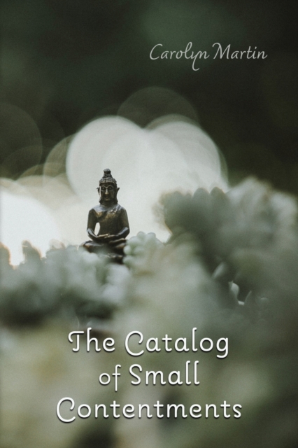 The Catalog of Small Contentments, Paperback / softback Book