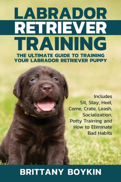 Labrador Retriever Training : The Ultimate Guide to Training Your Labrador Retriever Puppy: Includes Sit, Stay, Heel, Come, Crate, Leash, Socialization, Potty Training and How to Eliminate Bad Habits, Paperback / softback Book