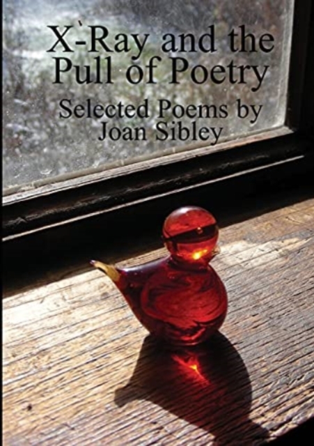 X-Ray and the Pull of Poetry, Paperback / softback Book