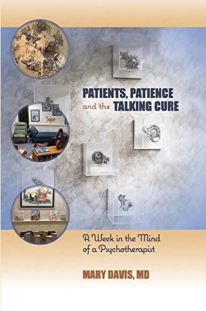 Patients, Patience, and the Talking Cure : A Week in the Mind of a Psychotherapist, Paperback / softback Book