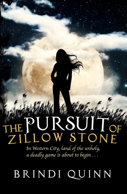 The Pursuit of Zillow Stone, Paperback / softback Book
