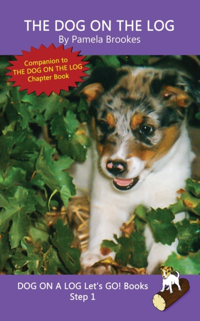 The Dog On The Log : Sound-Out Phonics Books Help Developing Readers, including Students with Dyslexia, Learn to Read (Step 1 in a Systematic Series of Decodable Books), Paperback / softback Book