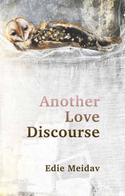 Another Love Discourse, Paperback / softback Book