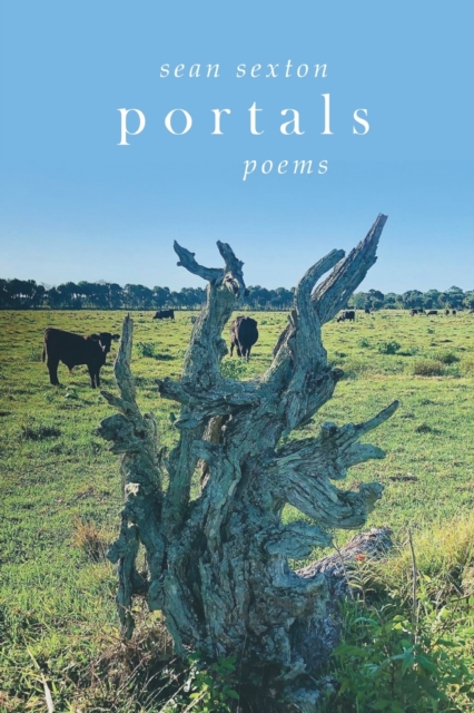 Portals : Poems, Paperback / softback Book