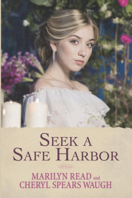 Seek a Safe Harbor, Paperback / softback Book