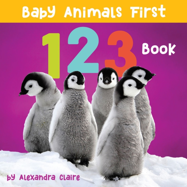 Baby Animals First 123 Book, Board book Book
