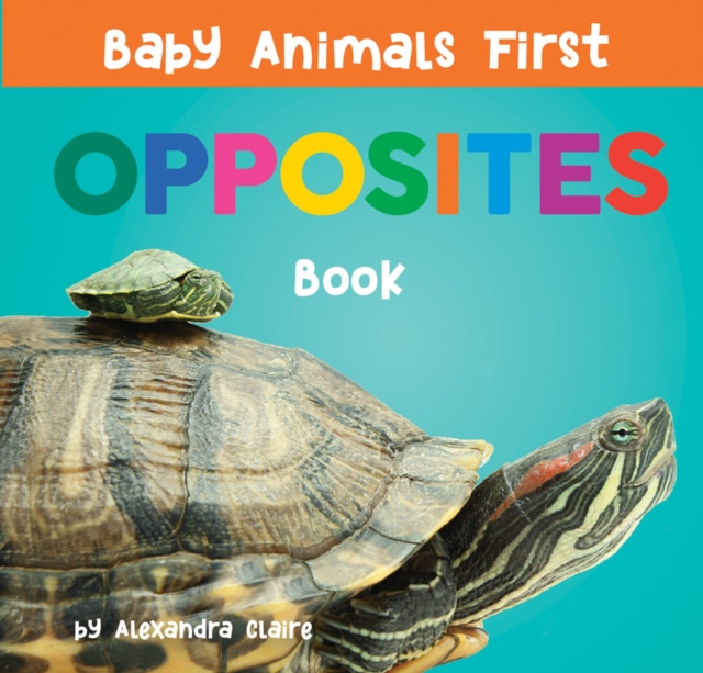 Baby Animals First Opposites Book, Board book Book