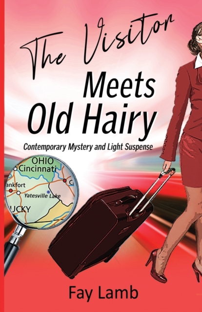 The Visitor Meets Old Hairy : Contemporary Mystery and Light Suspense, Paperback / softback Book