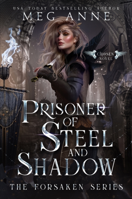Prisoner of Steel and Shadow, Paperback / softback Book