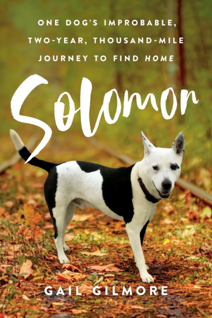 Solomon : One Dog's Improbable, Two-year, Thousand-mile Journey to Find Home, Paperback / softback Book
