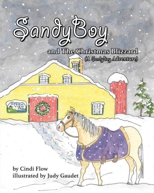 SandyBoy and the Christmas Blizzard (A SandyBoy Adventure), Paperback / softback Book