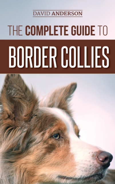The Complete Guide to Border Collies : Training, teaching, feeding, raising, and loving your new Border Collie puppy, Hardback Book