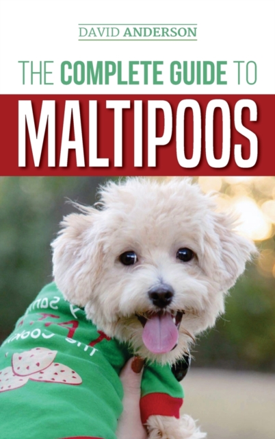 The Complete Guide to Maltipoos : Everything you need to know before getting your Maltipoo dog, Hardback Book