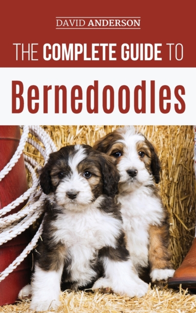 The Complete Guide to Bernedoodles : Everything you need to know to successfully raise your Bernedoodle puppy!, Hardback Book