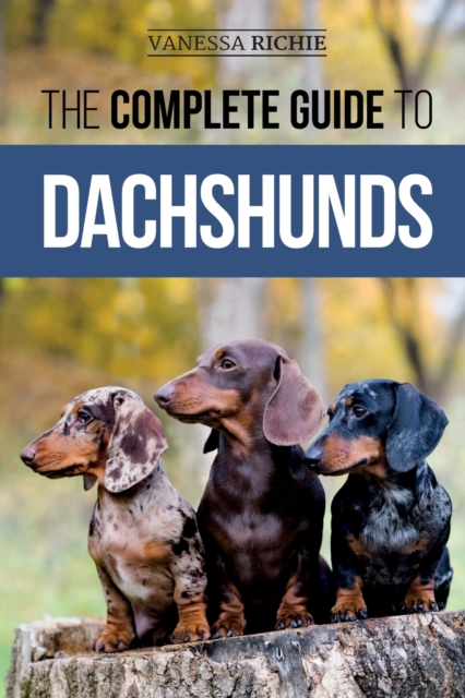 The Complete Guide to Dachshunds : Finding, Feeding, Training, Caring For, Socializing, and Loving Your New Dachshund Puppy, Paperback / softback Book