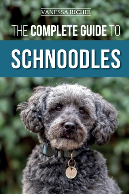 The Complete Guide to Schnoodles : Selecting, Training, Feeding, Exercising, Socializing, and Loving Your New Schnoodle Puppy, Paperback / softback Book