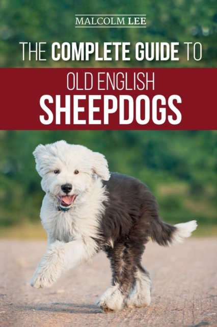 The Complete Guide to Old English Sheepdogs : Finding, Selecting, Raising, Feeding, Training, and Loving Your New OES Puppy, Paperback / softback Book