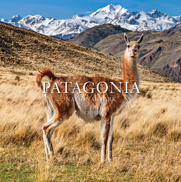 Patagonia National Park: Chile : Chile, Paperback / softback Book