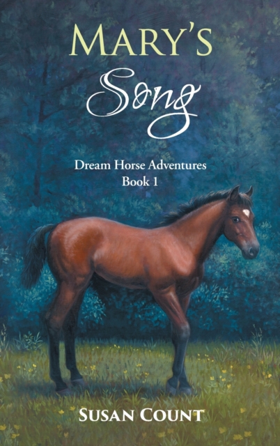 Mary's Song, Hardback Book