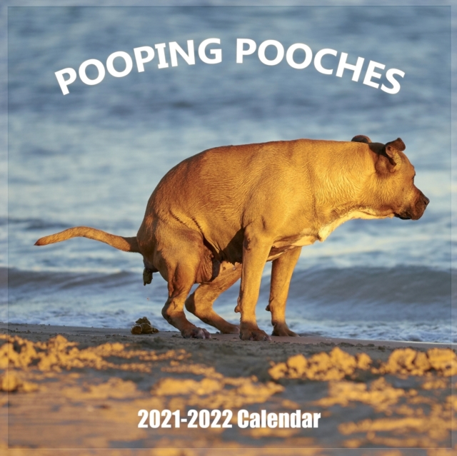 Pooping Pooches 2021-2022 Wall Calendar : Hilarious Gag Gift with 18 High Quality Pictures of Adorable Dogs Pooping, Paperback / softback Book