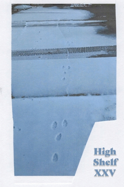 High Shelf XXV : December 2020, Paperback / softback Book