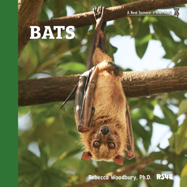 Bats, Paperback / softback Book