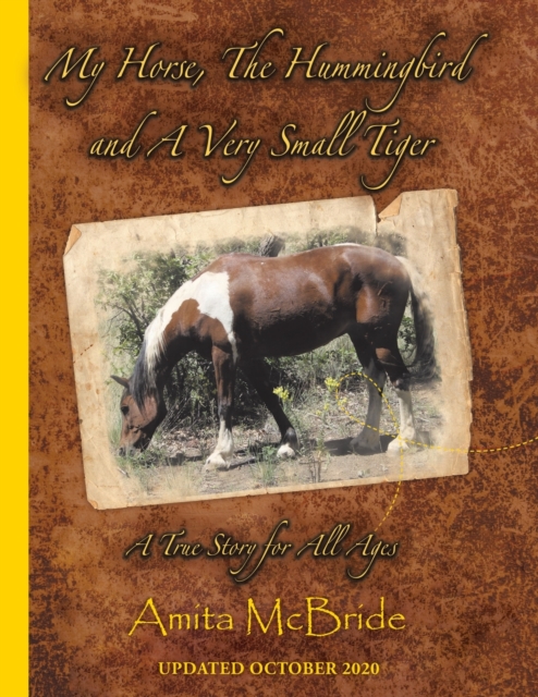 My Horse, The Hummingbird and A Very Small Tiger, Paperback / softback Book